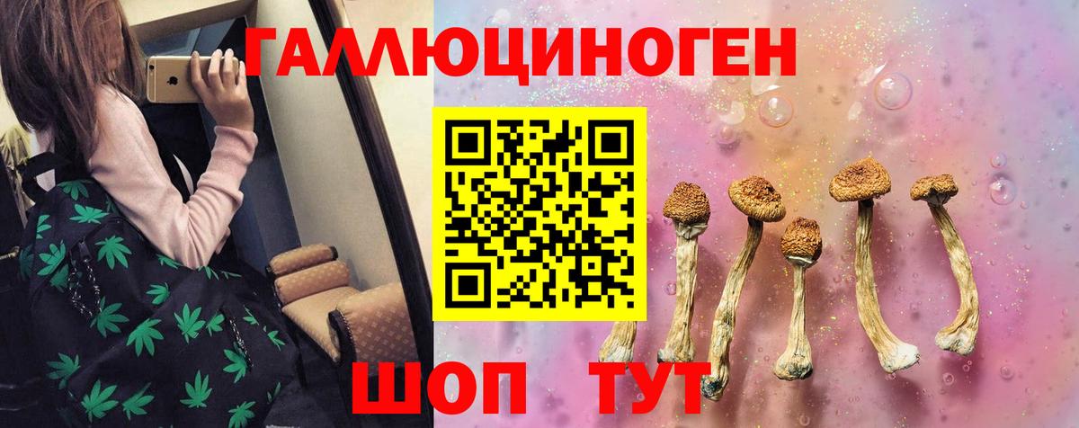 Рославль  Псилоцибиновые грибы прущие грибы  Вход с VPN 